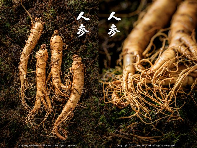 人參、西洋參，到底怎么選？一篇講透二者的區別與用法